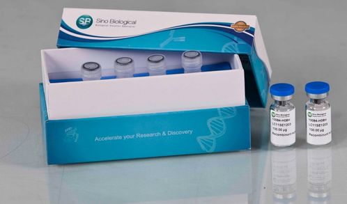 義翹神州以研發(fā)驅(qū)動(dòng)業(yè)績快速成長,產(chǎn)品深受國際認(rèn)可 需求旺盛